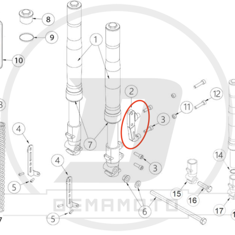 Immagine 11 Immagine 11