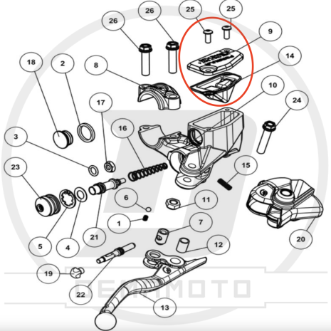 Immagine-169-930x930 Immagine-169-930x930