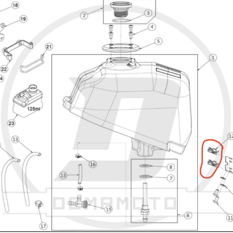 Immagine-175-930x930 Immagine-175-930x930