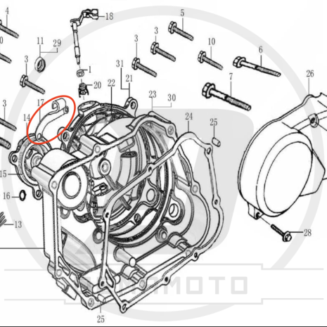 Immagine-178-930x930 Immagine-178-930x930