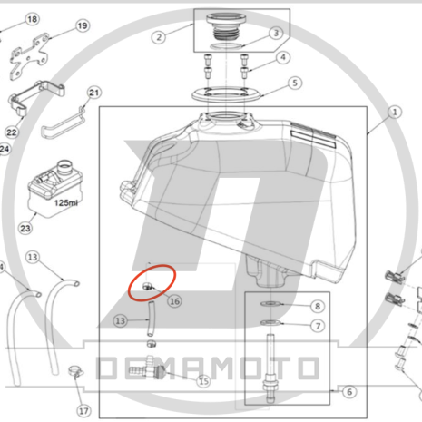 Immagine-21-465x465 Immagine-21-465x465