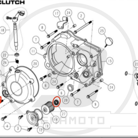Immagine 3 Immagine 3