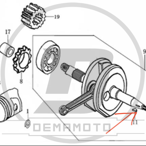 Immagine-3-68-465x465 Immagine-3-68-465x465
