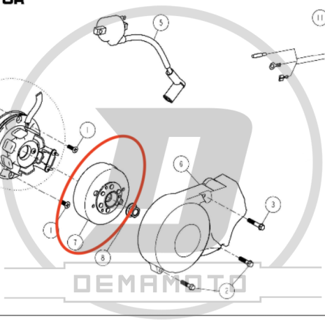 Immagine-4-56-465x465 Immagine-4-56-465x465