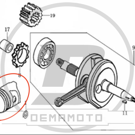 Immagine-4-77-465x465 Immagine-4-77-465x465