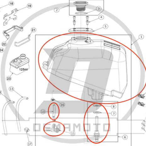 Immagine-5-5-930x930-1-768x768 Immagine-5-5-930x930-1-768x768