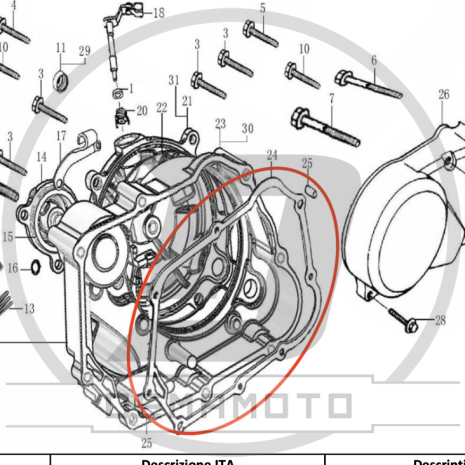 Immagine-5-64-465x465 Immagine-5-64-465x465