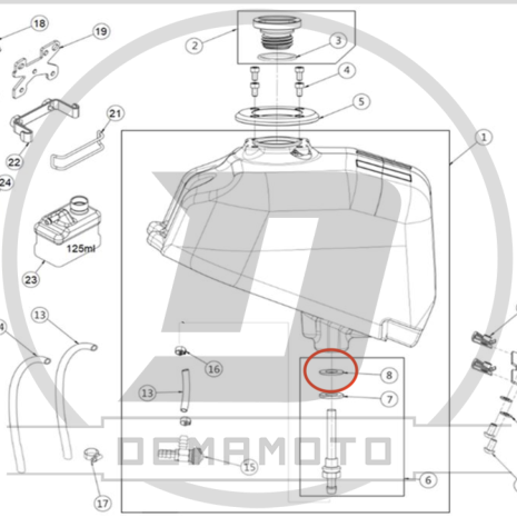 Immagine-7-8-465x465 Immagine-7-8-465x465