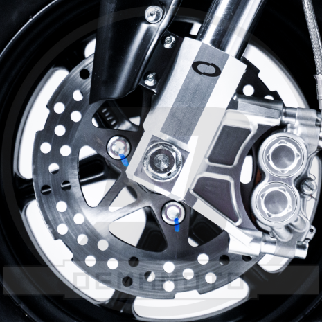 Immagine 5 Immagine 5