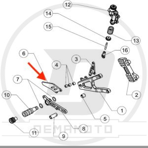 PINNA PARATACCO GP-7