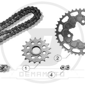CATENA REGINA 420-120 GP-7